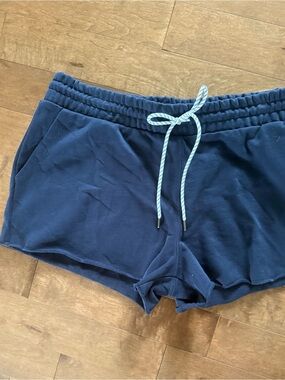 Parke x Target sold out shorts